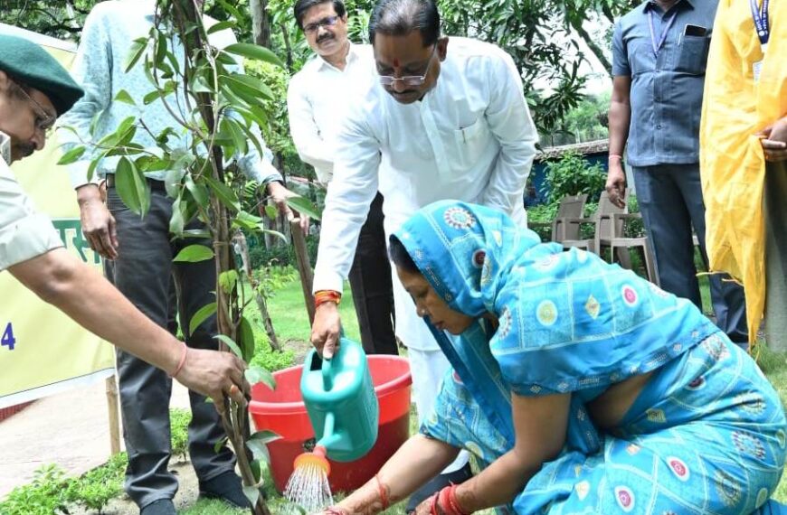 मुख्यमंत्री श्री साय की विशेष पहल, बस्तर अंचल में आस्था के केन्द्रों पर होगी हरियाली