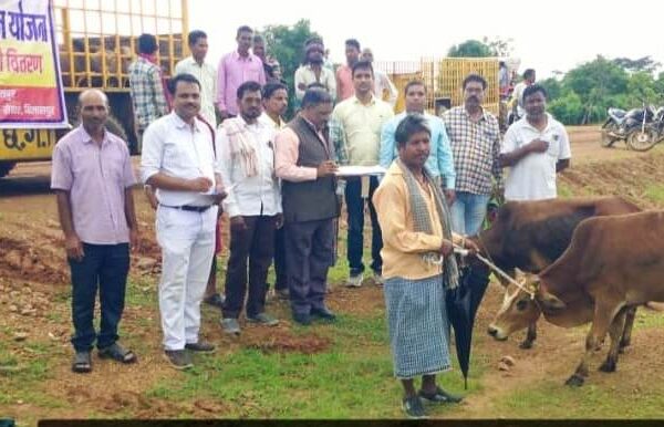 बैगा परिवारों को 20 जोड़ी बैल निःशुल्क वितरित, खेती का काम होगा आसान