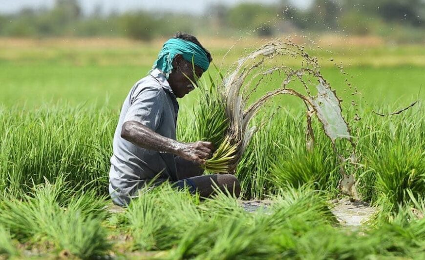 किसान अब 16 अगस्त तक करा सकेंगे फसल बीमा, छत्तीसगढ़ सरकार के प्रस्ताव पर केन्द्र सरकार ने दी सहमति