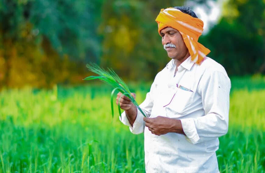 प्रधानमंत्री फसल बीमा योजनान्तर्गत फसलों का बीमा कराने के अंतिम तिथि 16 अगस्त 2024 तक