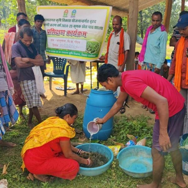 आकांक्षी जिला दंतेवाड़ा जैविक कृषि जिला बनने की ओर अग्रसर