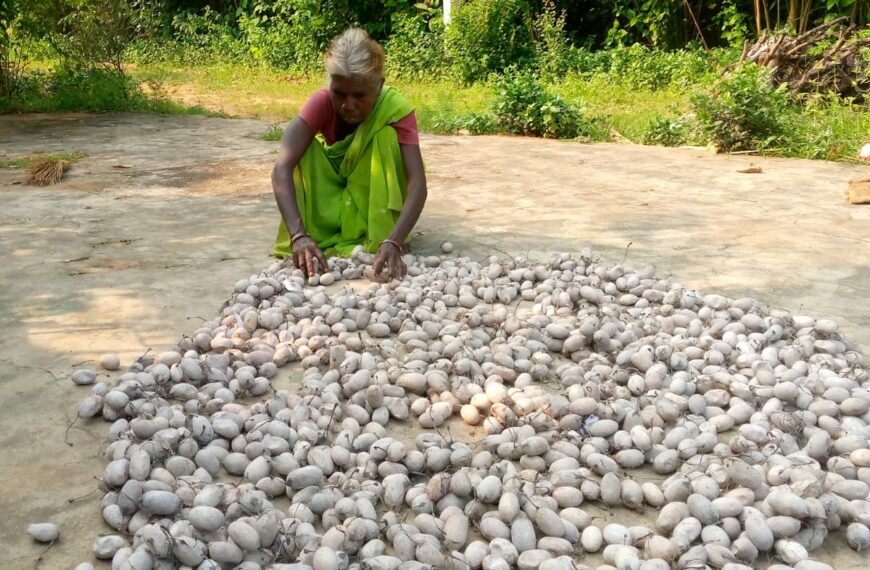 सफलता की कहानी – कोसा कीटपालन बना जीवन यापन का उत्तम साधन, बसंती मिंज साल में 01 लाख रूपए की कर रही है अतिरिक्त आमदनी