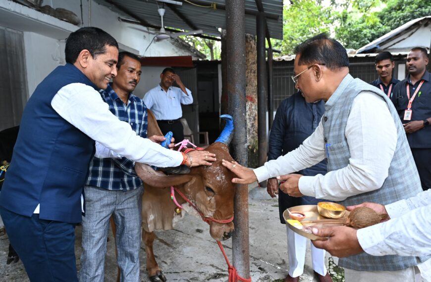 मुख्यमंत्री विष्णु देव साय ने गोवर्धन पूजा के अवसर पर की गौ वंश की पूजा-अर्चना, गौवंश को गुड़ और खिचड़ी खिलाकर व्यक्त की अपनी कृतज्ञता