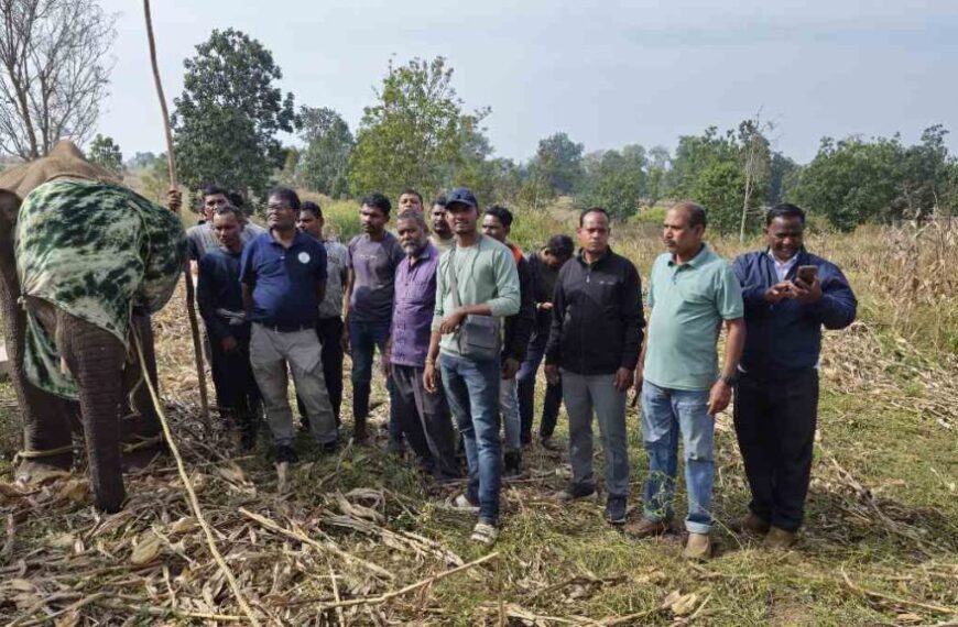 पोटाश बम से घायल नन्हे हाथी का अब राजधानी में होगा इलाज, उप निदेशक वरुण जैन ने कही ये बात…