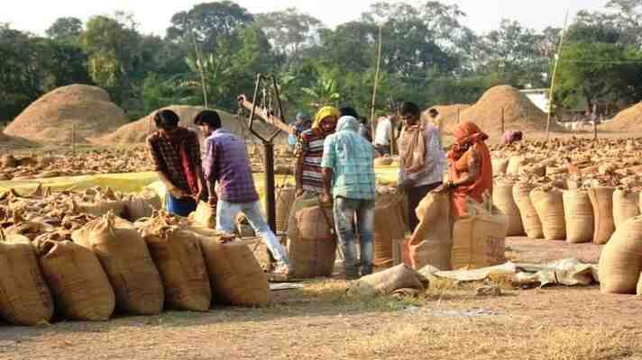 छत्तीसगढ़ में बना धान खरीदी में नया कीर्तिमान: 149.25 लाख मीट्रिक टन धान की हुई खरीदी