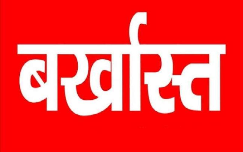 जनपद पंचायत में फर्जी नियुक्ति : कलेक्टर ने तीन कर्मचारियों को किया बर्खास्त, RTI कार्यकर्ता की शिकायत पर हुई कार्रवाई