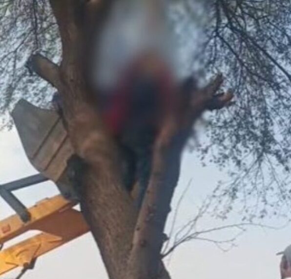 अधेड़ और युवती की एक ही फंदे से लटकी मिली लाश, इलाके में सनसनी, जांच में जुटी पुलिस