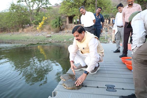 मुख्यमंत्री डॉ. मोहन यादव ने वन विहार राष्ट्रीय उद्यान के जल क्षेत्र में छोड़े कछुए