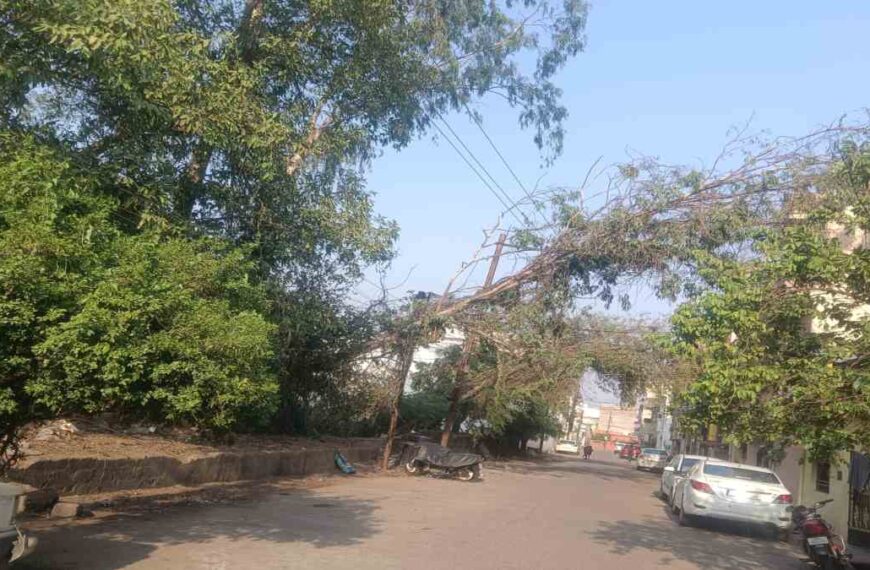 नगर निगम-विद्युत विभाग की व्यवस्था की खुली पोल : अब तक नहीं हटाए गए आंधी से टूटे पेड़, रायपुर के कई इलाकों में 24 घंटे से बिजली बंद, घरों में पानी भी नहीं पहुंचा