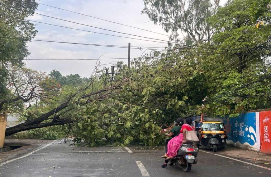 छत्तीसगढ़ में आंधी-बारिश की चेतावनी : मौसम विभाग ने जारी किया ऑरेंज और येलो अलर्ट, रायपुर में तेज हवा के साथ हुई बारिश से कई इलाकों में गिरे पेड़