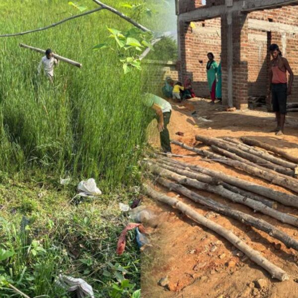 वन विभाग का एक्शन : छापा मारकर बड़ी मात्रा में पकड़ी अवैध सागौन की लकड़ी, आरोपी के खिलाफ मामला दर्ज