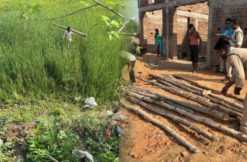 वन विभाग का एक्शन : छापा मारकर बड़ी मात्रा में पकड़ी अवैध सागौन की लकड़ी, आरोपी के खिलाफ मामला दर्ज
