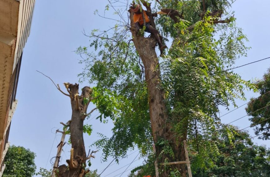 हाइटेंशन तार की चपेट में आया बुजुर्ग, मौके पर हुई मौत…