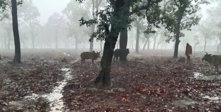 ऑपरेशन शंखनाद के तहत गौ-तस्करी का पर्दाफाश, 9 गौ-वंशों को छुड़ाया गया