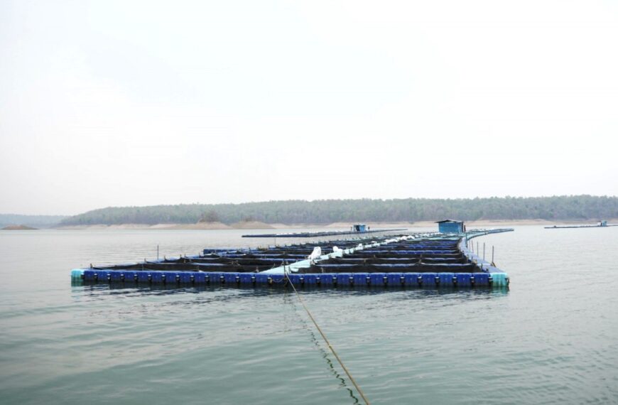 छत्तीसगढ़ में फिशरीज के नये युग की शुरूआत, हसदेव डुबान में बनेगा पहला एक्वा पार्क