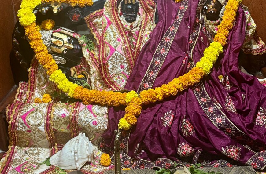 “लाल किला और ताजमहल से भी तीन गुना प्राचीन है रायपुर का बिरंचि नारायण मंदिर ,संरक्षण के लिए धर्म स्तंभ काउंसिल ने उठाई आवाज”