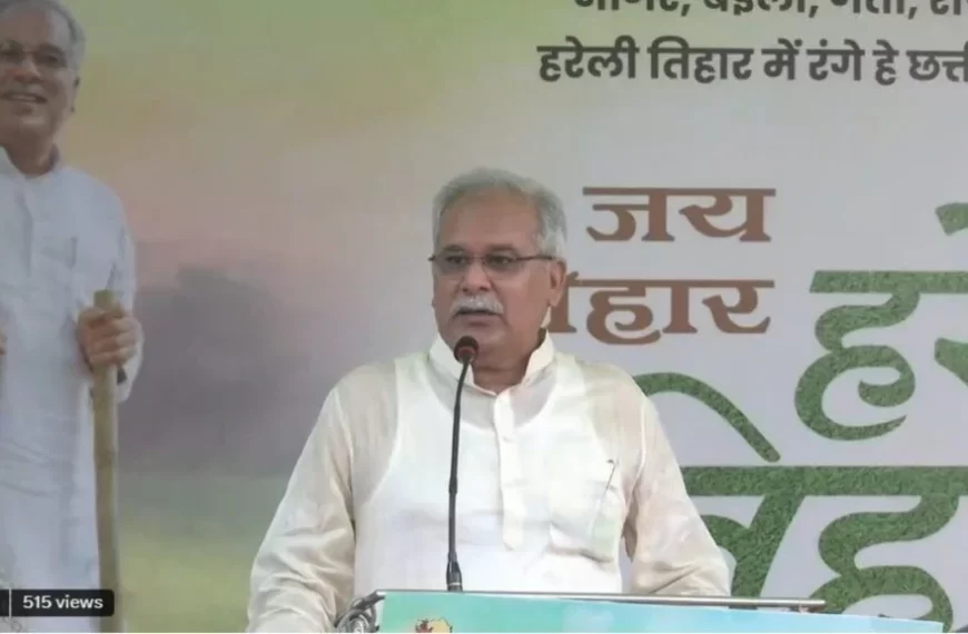 पुत्र चैतन्य की गिरफ्तारी पर पूर्व सीएम ने कसा तंज, कहा- इनके दिमाग में बसा हुआ है भूपेश बघेल का डर…