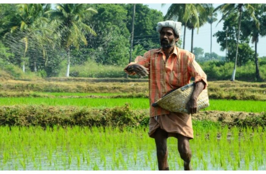 किसानों के लिए समितियों में खाद की कोई कमी नहीं, खरीफ के लक्ष्य से 94 प्रतिशत खाद का भंडारण