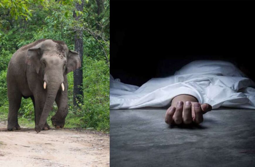 खेत में आग ताप रही मां-बेटी पर हाथी ने किया हमला, वृद्धा की मौके पर ही मौत…