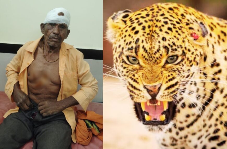 जंगल से नीम की पत्तियां लाने गया था ग्रामीण, अचानक खूंखार तेंदुए ने कर दिया हमला, हालत गंभीर