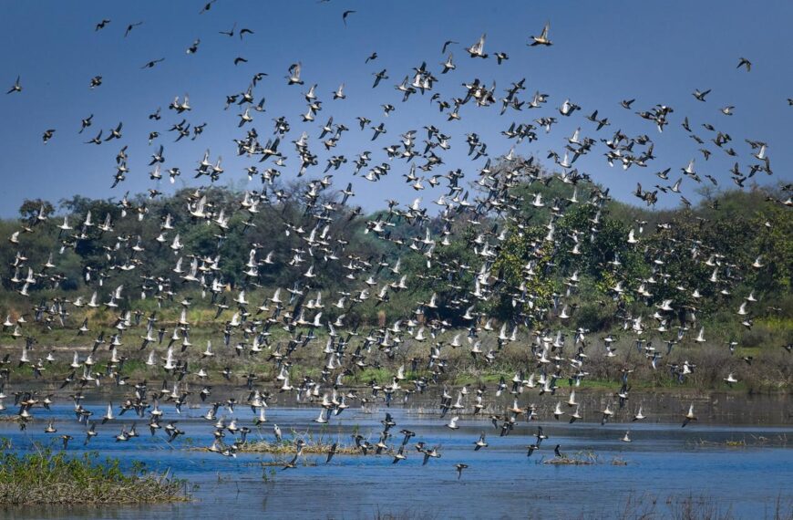 कोपरा जलाशय को राज्य का पहला रामसर साइट घोषित किया जाना छत्तीसगढ़ के लिए गर्व का क्षण: मुख्यमंत्री विष्णु देव साय