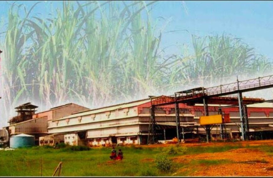 गन्ना किसानों को मिला आर्थिक संबल, भोरमदेव शक्कर कारखाने ने हितग्राहियों को किया करोड़ों का भुगतान