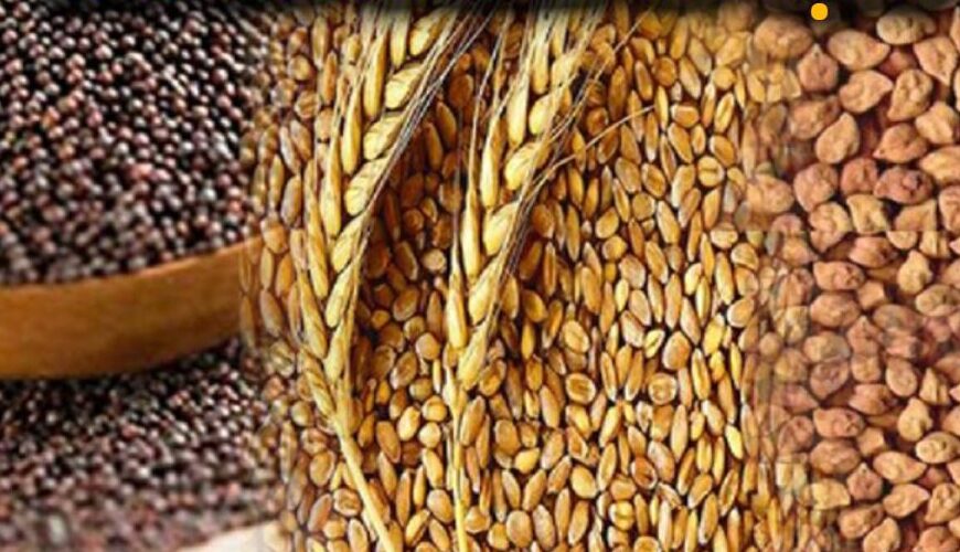 रबी बीज उत्पादन को बढ़ावा : किसानों के पंजीयन की तिथि 31 जनवरी तक बढ़ी