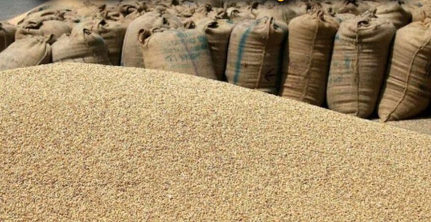 ई-मंडी में फर्जीवाड़ा उजागर : 5,600 क्विंटल धान के अवैध परिवहन पर कार्रवाई, फर्म सील, FIR दर्ज