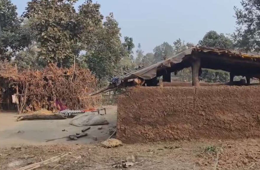 छत्तीसगढ़ की वनभूमि पर मध्यप्रदेश और उत्तर प्रदेश के लोग कर रहे अवैध कब्जा, शिकायत के बाद भी वन विभाग की कार्रवाई शून्य