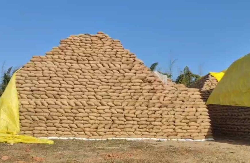उपार्जन केंद्र से 80 लाख का धान गायब, 6470 बोरियों की हेराफेरी से मचा हड़कंप…