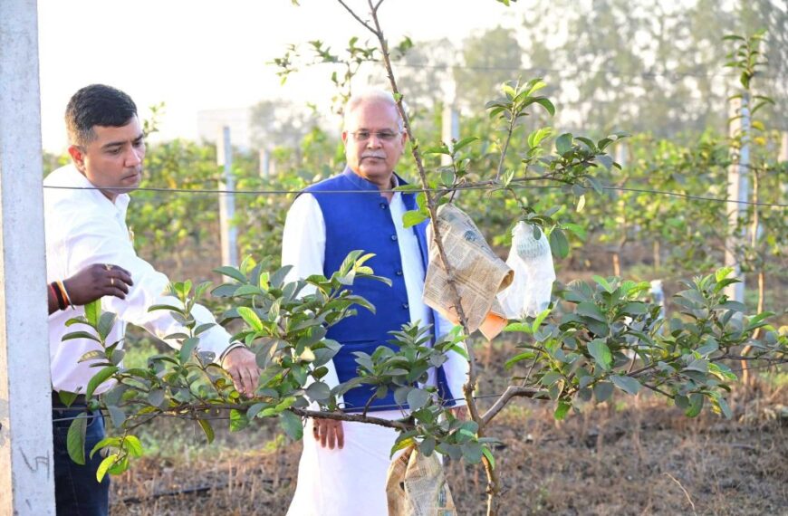 जेल से रिहा होने के बाद खेती कार्य में जुटे चैतन्य, भूपेश बघेल ने पोस्ट की तस्वीरें, लिखा…