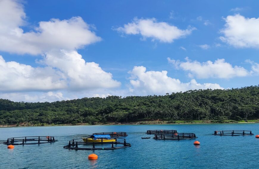 अंडमान: जहाँ समुद्र संवाद करता है और समय ठहर जाता है