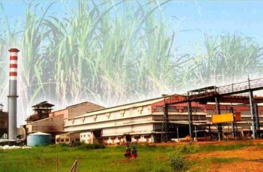 होली से पहले गन्ना किसानों को राहत, भोरमदेव शक्कर कारखाने ने जारी किए 4.73 करोड़ रुपए