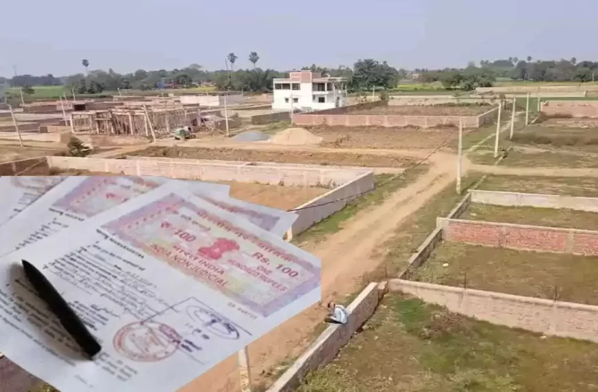 धमतरी, बलौदा बाजार और गरियाबंद जिले में आज से जमीन की नई गाइडलाइन दरें प्रभावशील, जानिए कहां मिलेगी जानकारी…