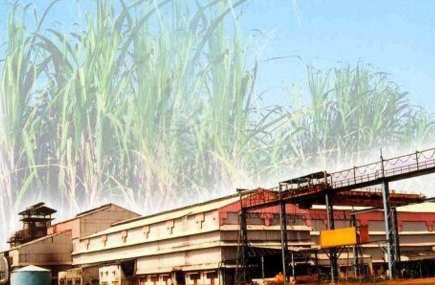 नवरात्रि पर गन्ना किसानों को बड़ी सौगात : 5.97 करोड़ जारी, अब तक 57.48 करोड़ भुगतान