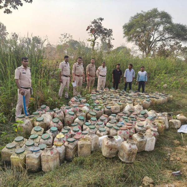 अवैध शराब निर्माण का भंडाफोड़, पुलिस ने झाड़ियों और लंबी घास में छुपाकर रखे 6000 किलो महुआ लाहन किया बरामद