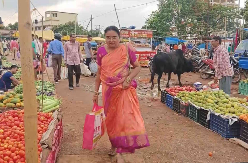 सुपेला थाना के पीछे स्थापित होगी थोक सब्जी मंडी, आकाशगंगा थोक सब्जी मंडी में खत्म होगी भीड़ की समस्या…