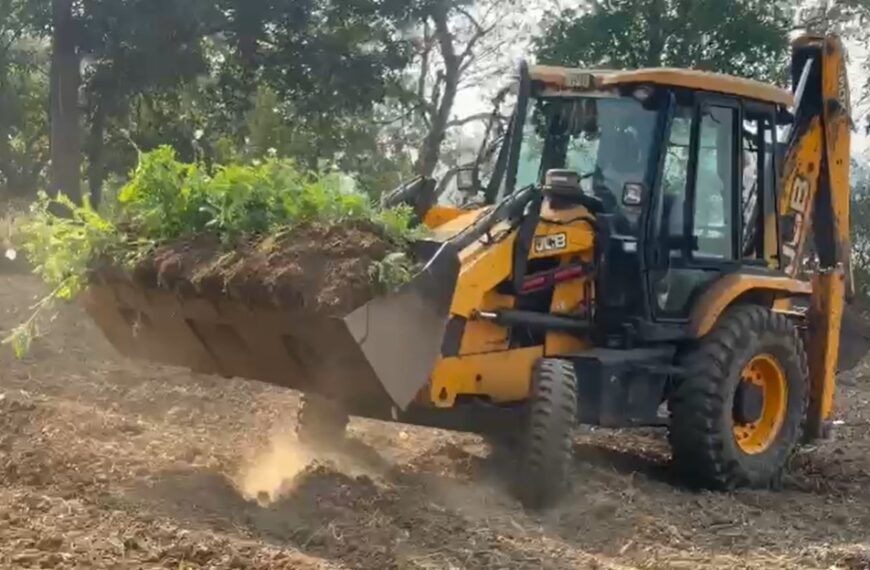 दुर्ग में 5 एकड़ में अवैध अफीम की खेती का खुलासा, पौधे उखाड़ने की कार्रवाई शुरू